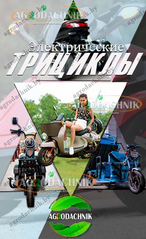 Каталог электротрициклов shtenli Электрические трициклы shtenli